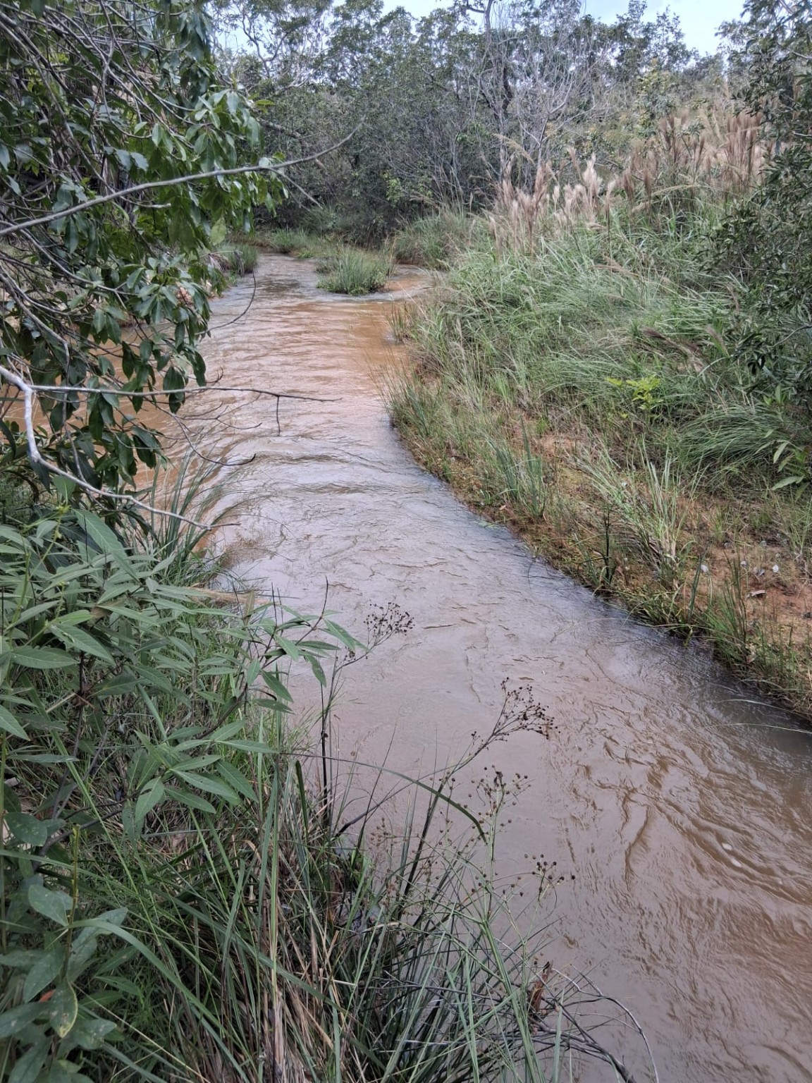 Trecho do Rio Gameleira dentro da propriedade