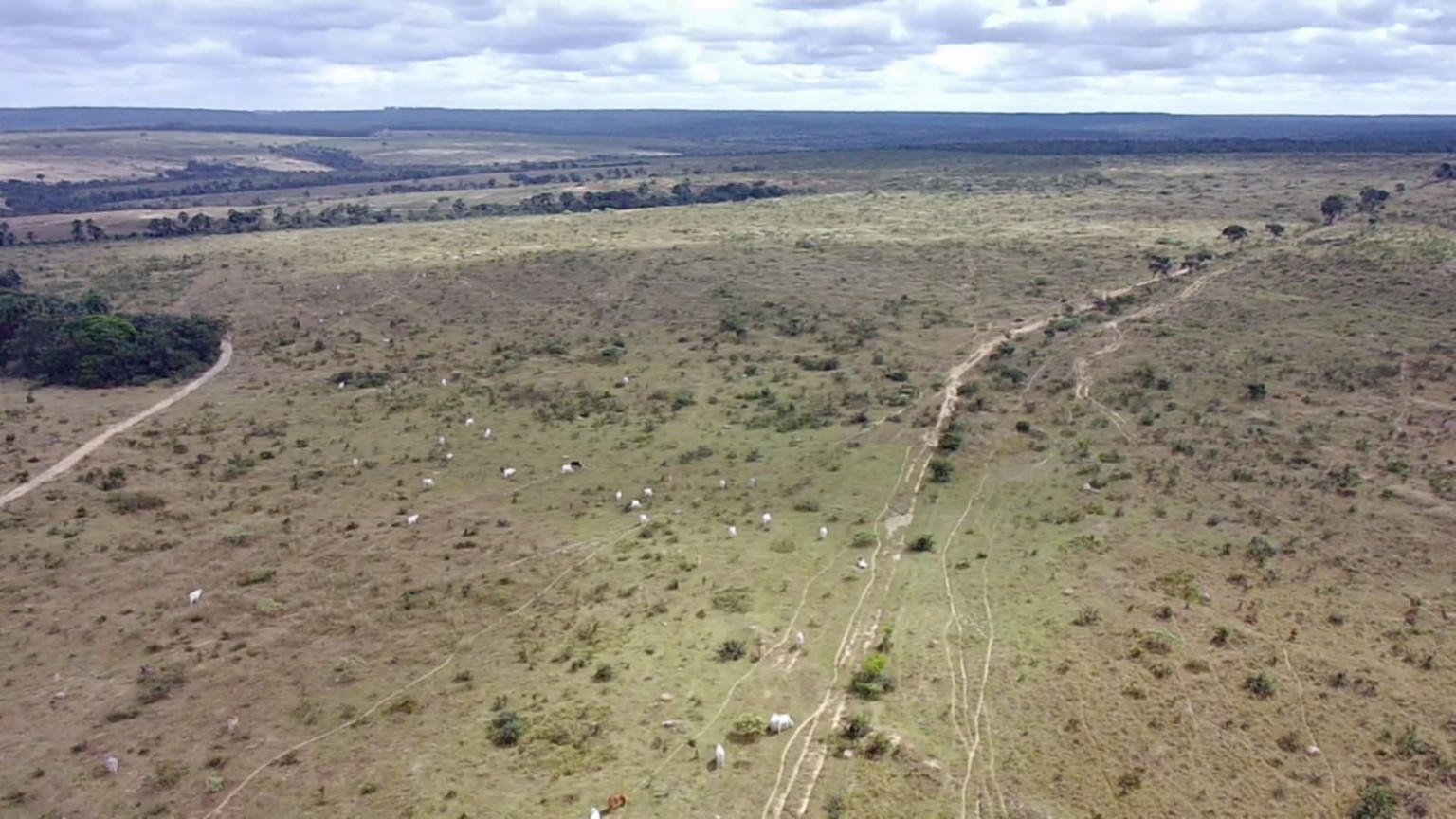Fazenda de 1.050 hectares no Noroeste de Minas