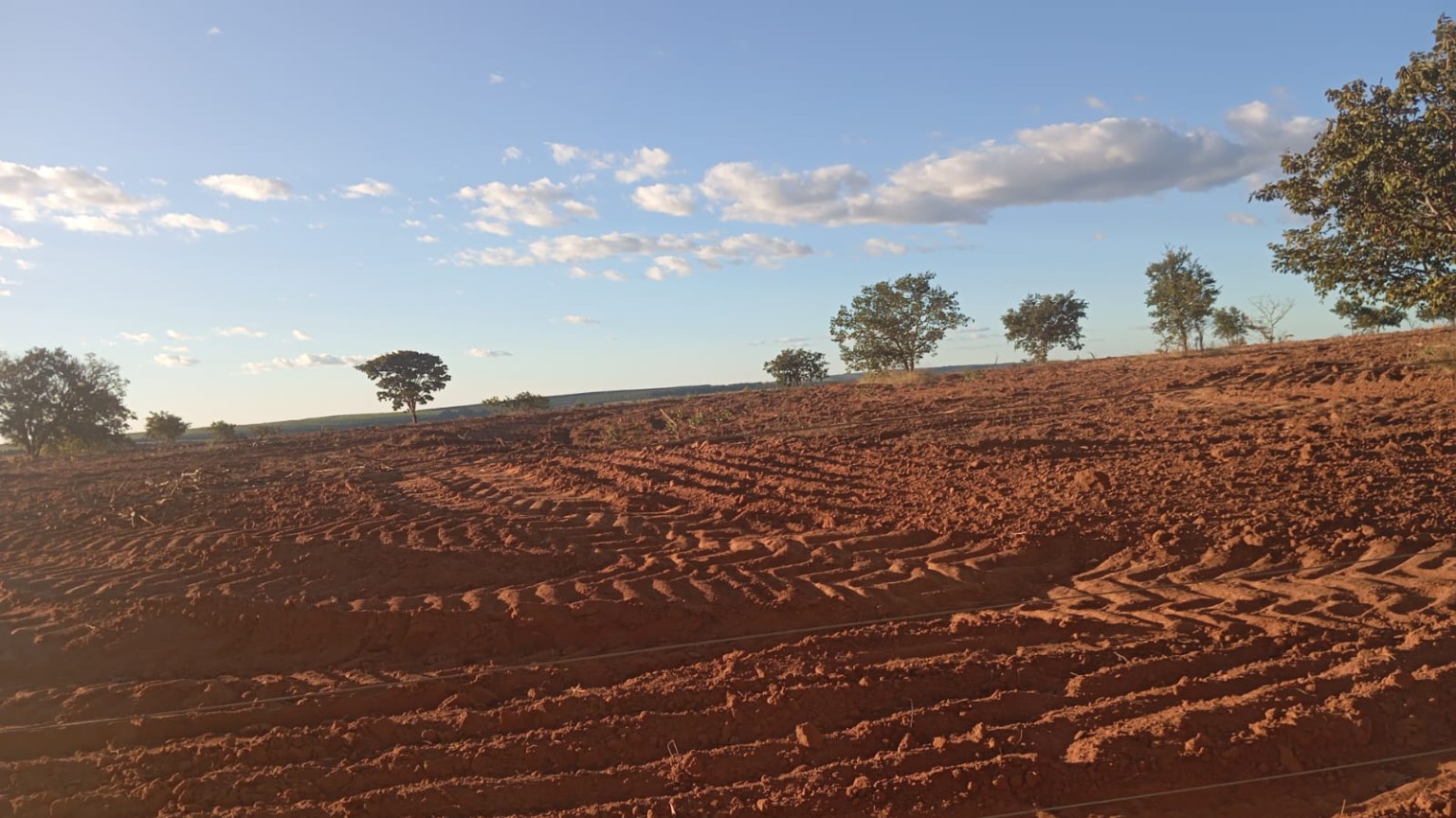 Solo e área preparada da fazenda