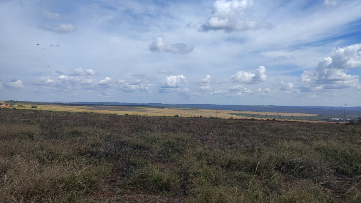 Vista ampla da região agrícola no Norte de Minas