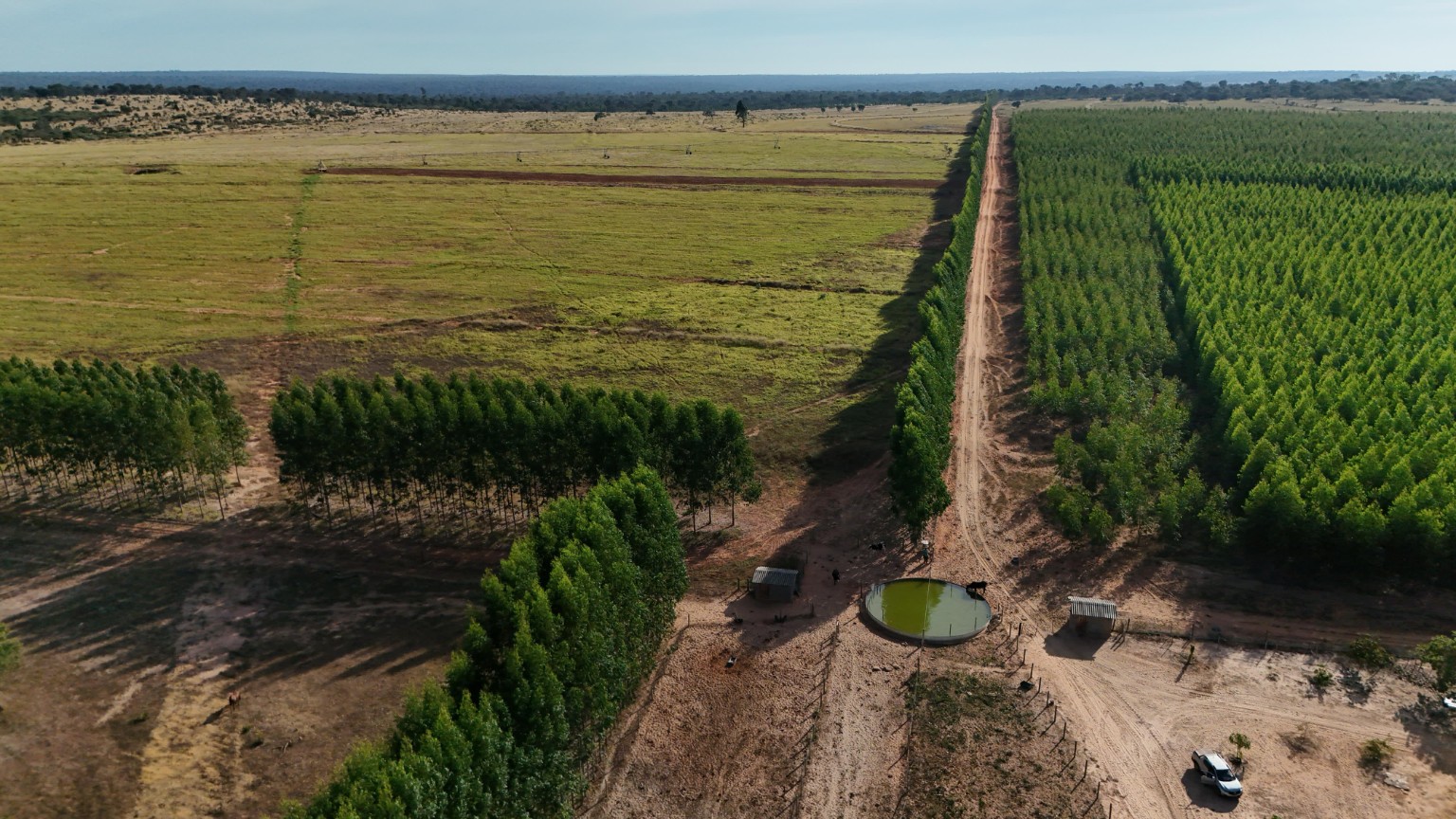 Vista aérea do pivô, eucalipto, reservatório e acessos internos