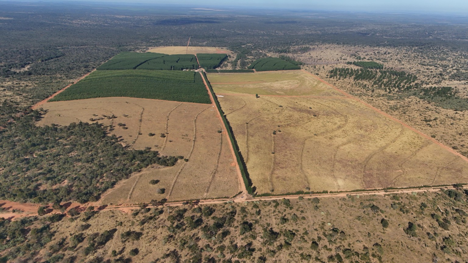 Fazenda de 310 hectares com eucalipto e pivô