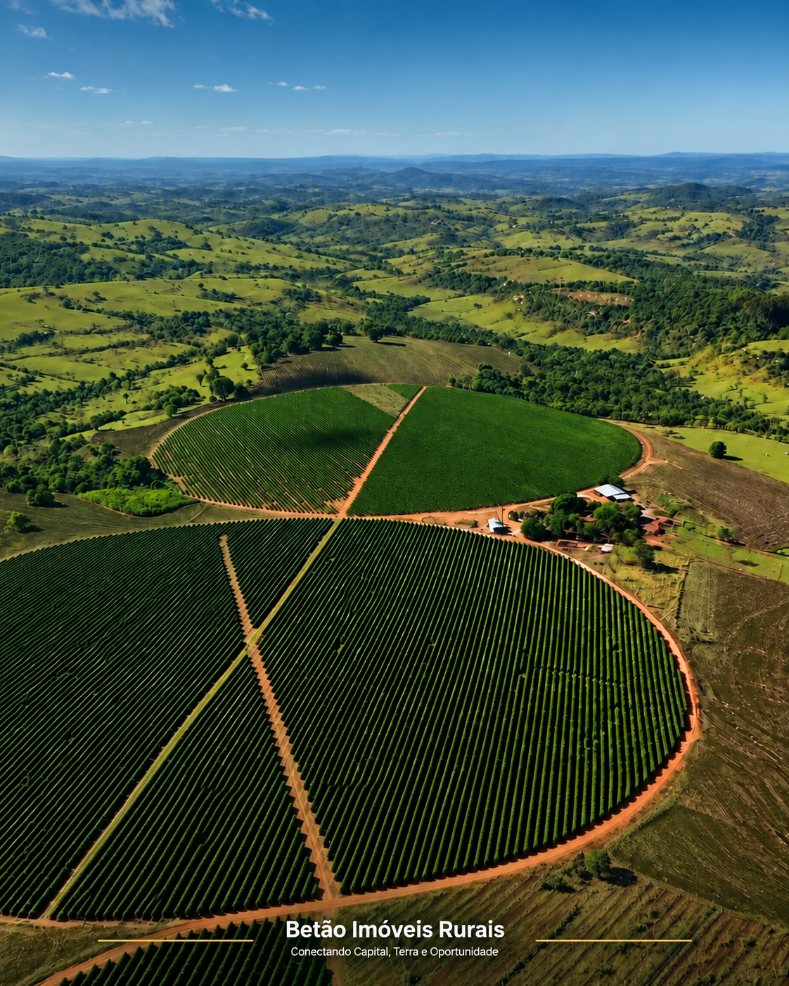 Fazenda cafeeira de 330 hectares
