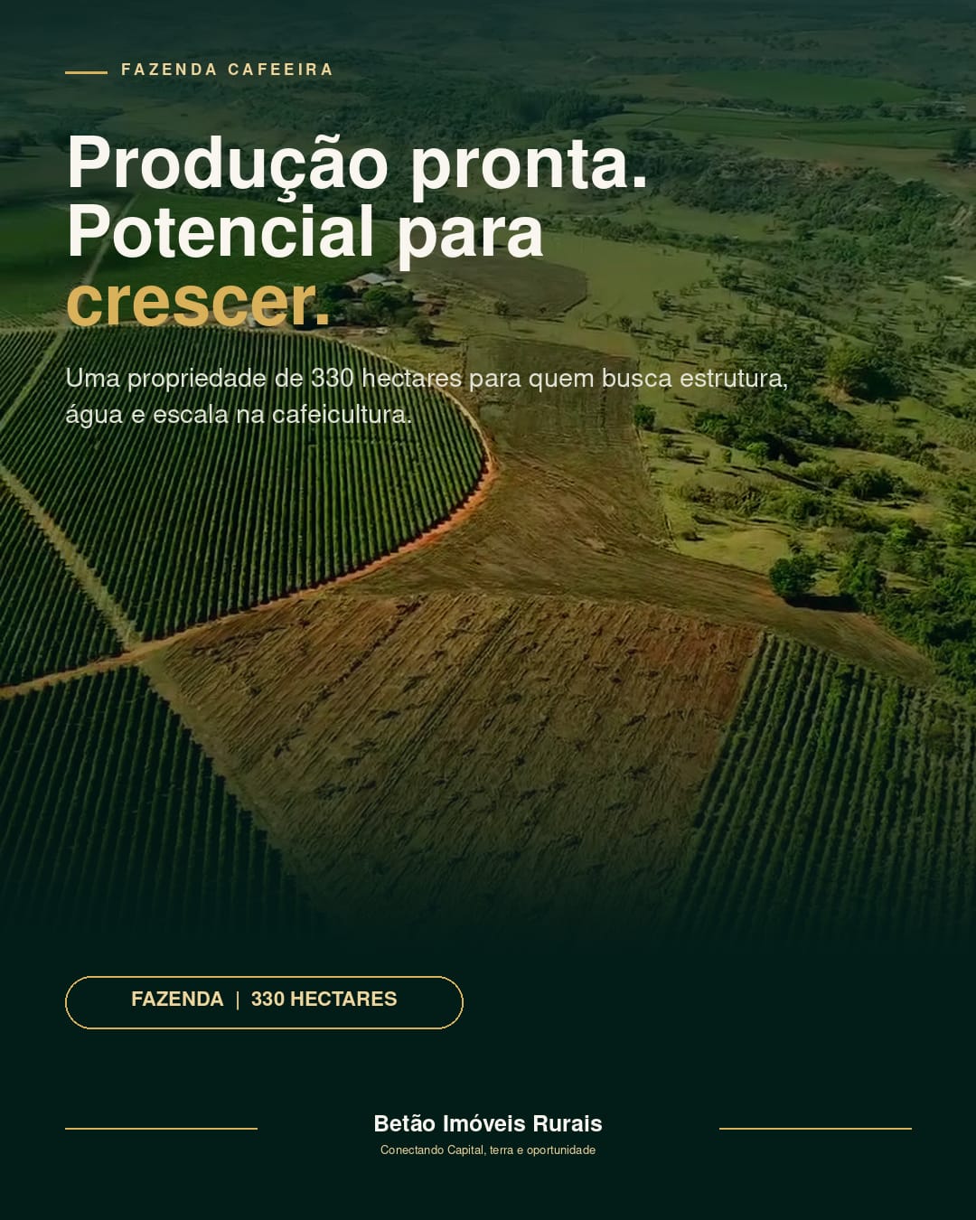 Produção pronta. Potencial para crescer.