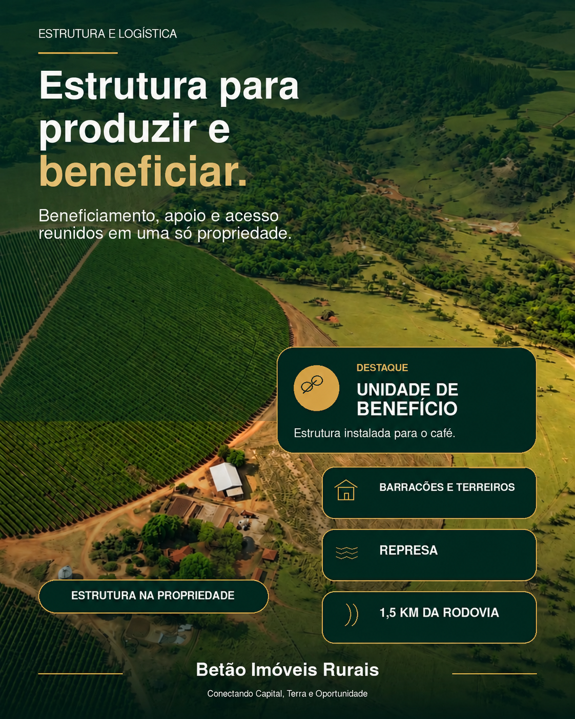 Estrutura para produzir e beneficiar.