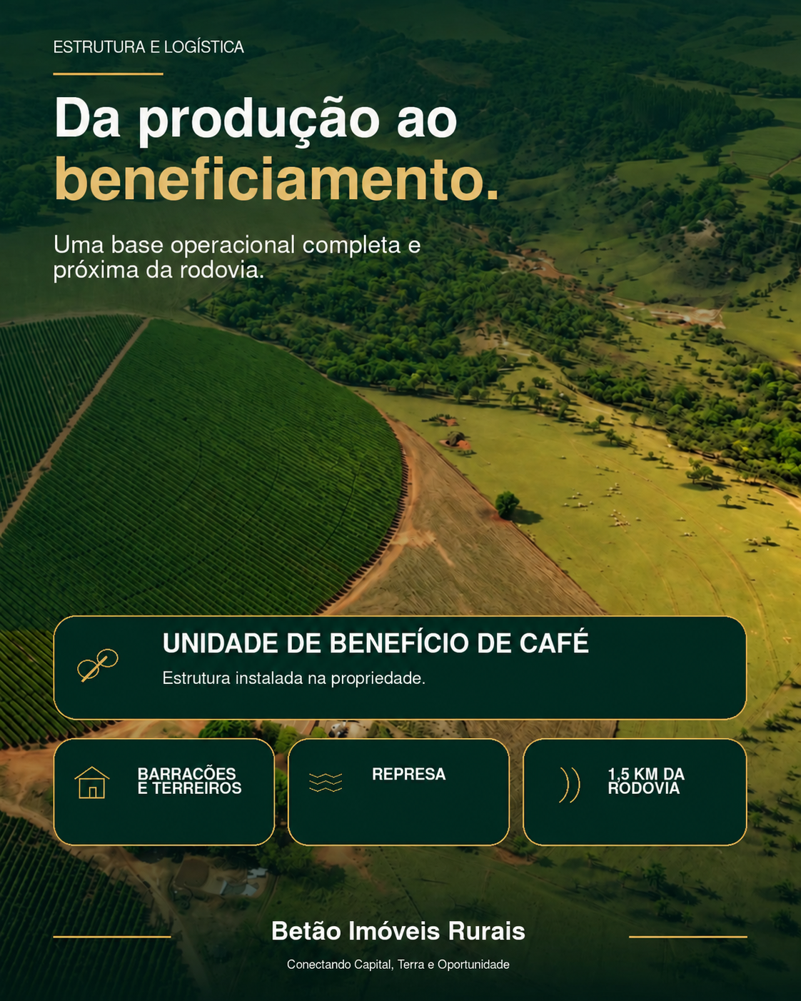 Da produção ao beneficiamento.