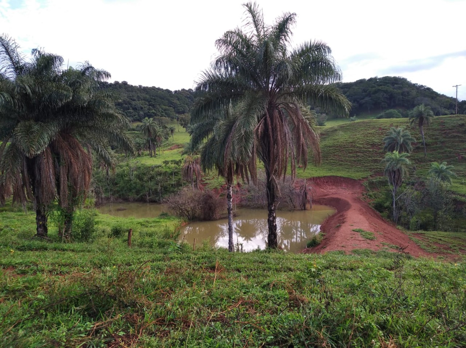 Fazenda de 383 hectares em Varjão de Minas