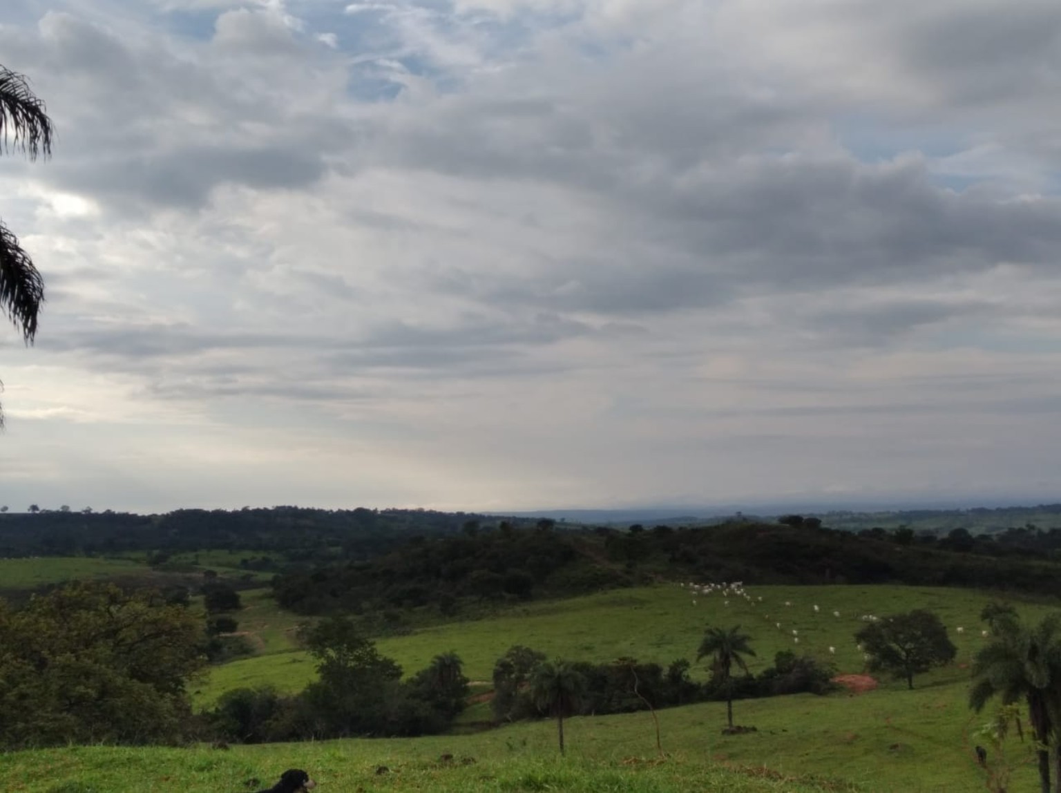 Vista geral das pastagens da propriedade