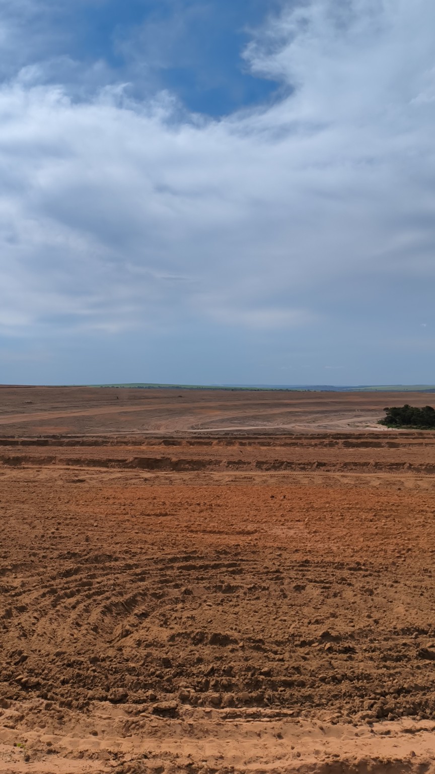 Vista ampla da área produtiva da propriedade