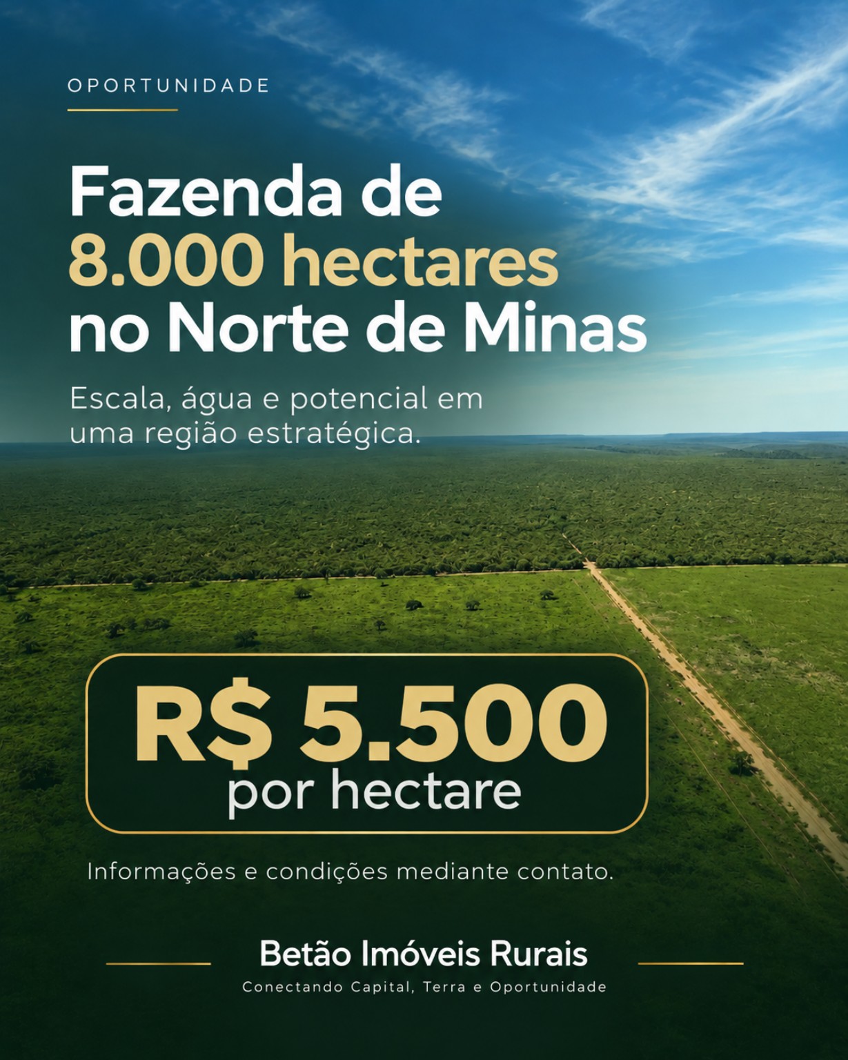 Fazenda de 8.000 hectares no Norte de Minas