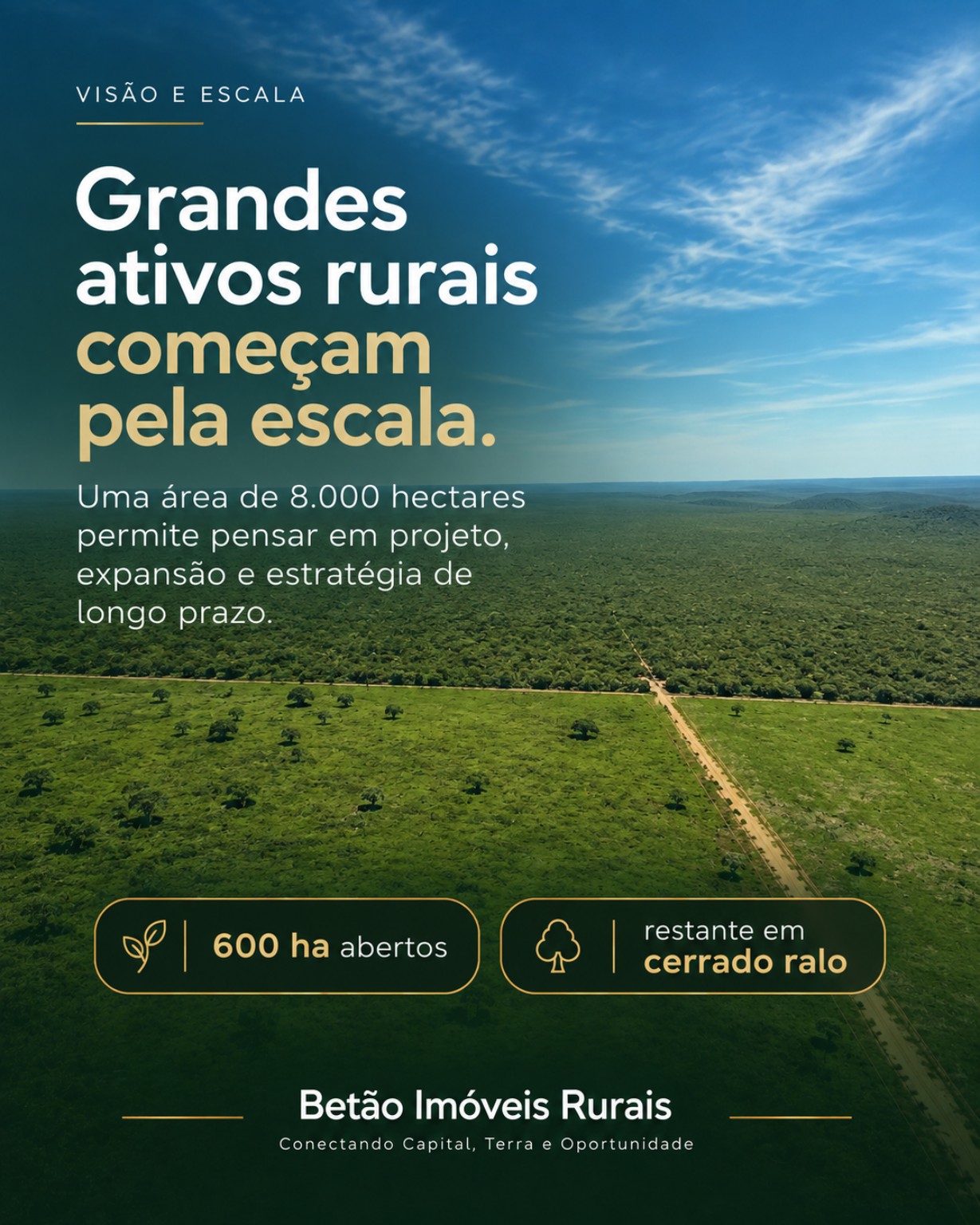 Área e escala da propriedade
