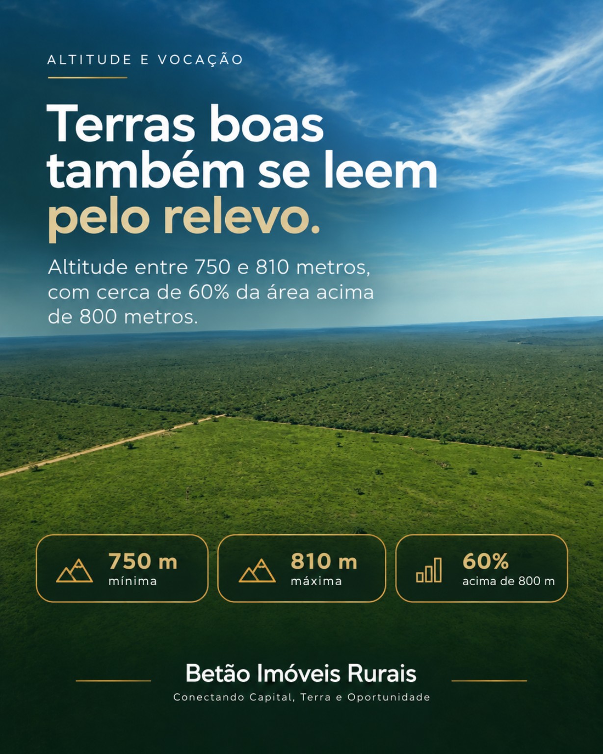 Altitude da propriedade