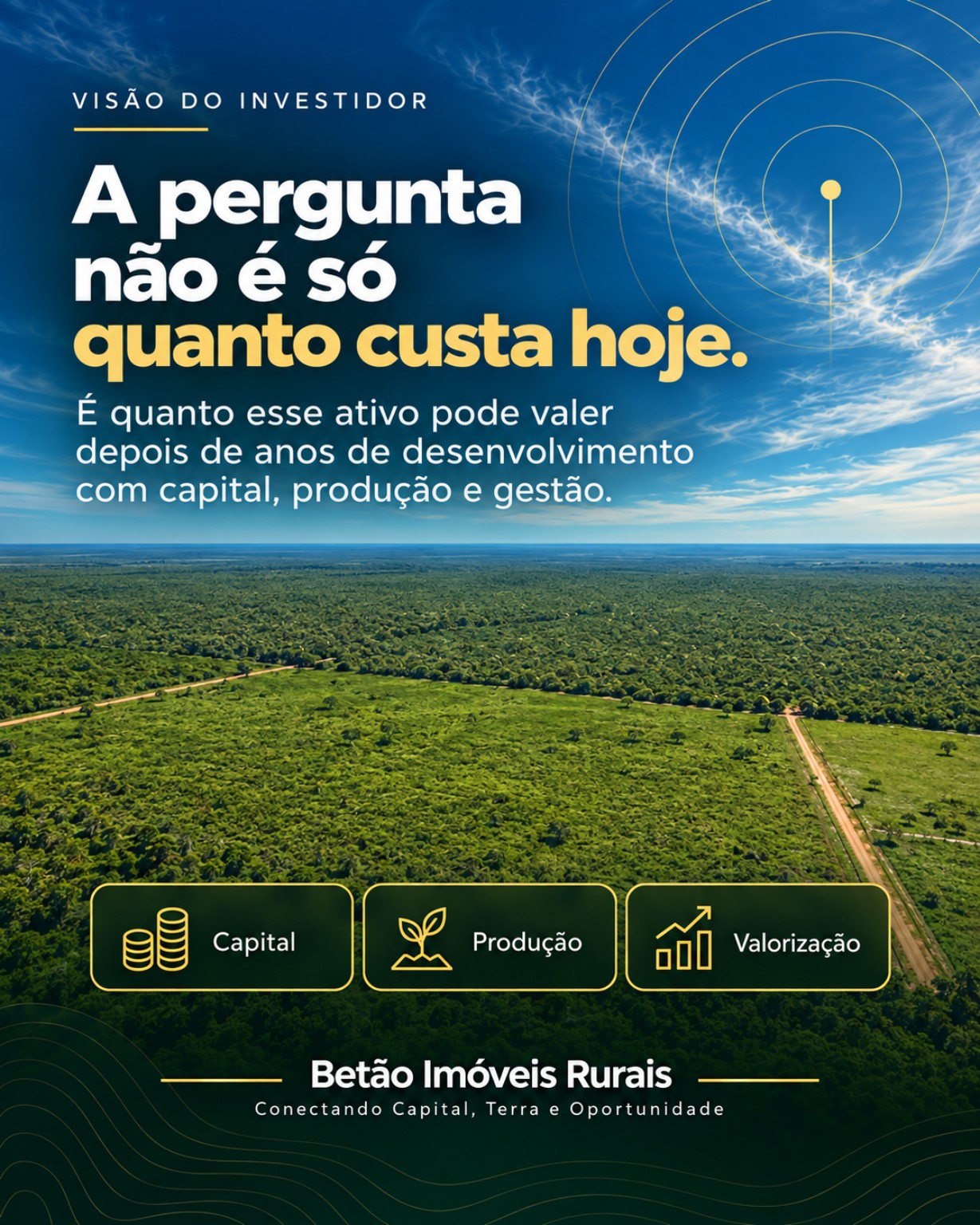 Visão de investimento